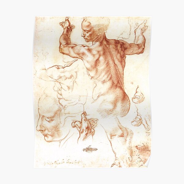Michelangelo. Studies for The Libyan Sibyl. Poster