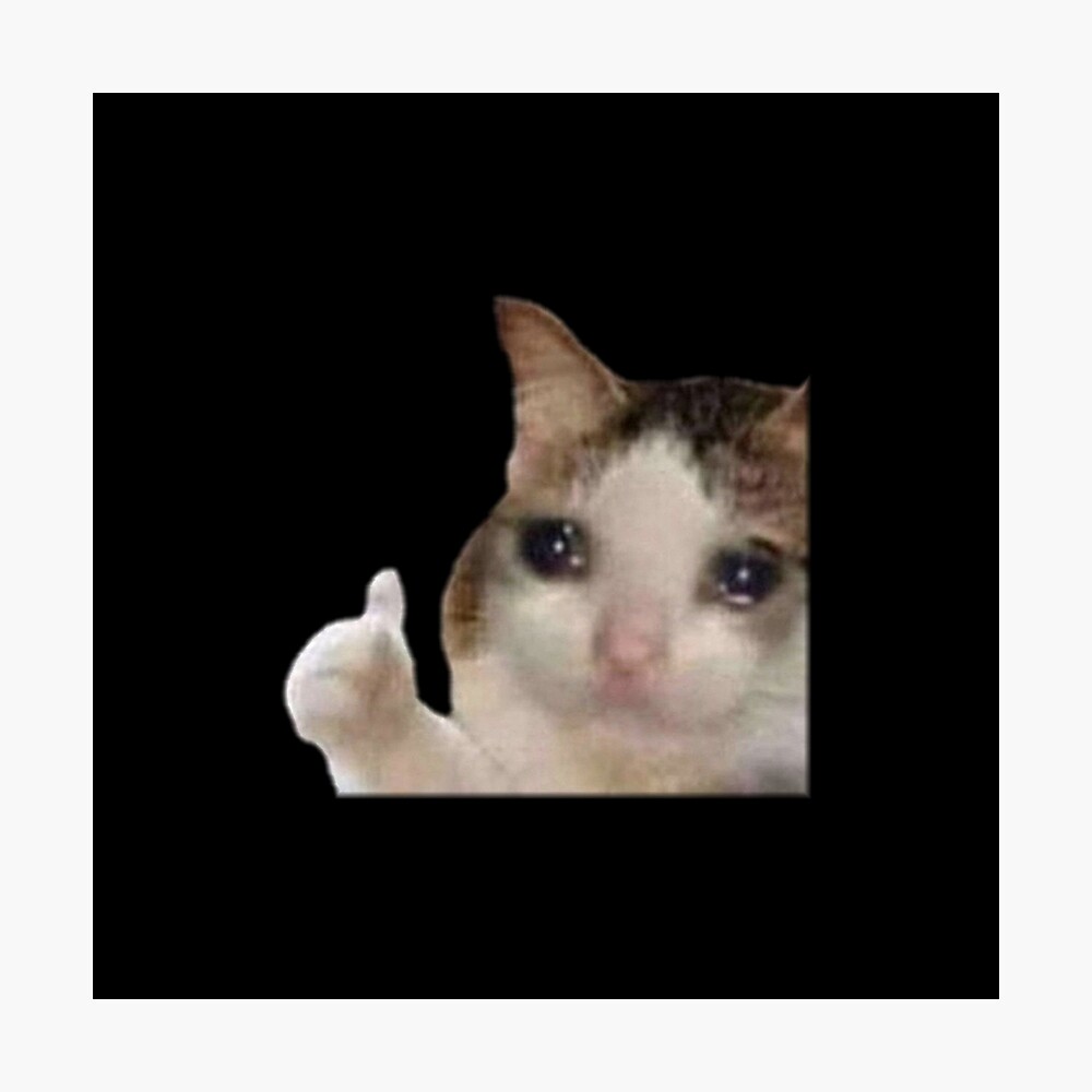 wallpapers Crying Cat Thumbs Up Meme Transparent redbubble.
