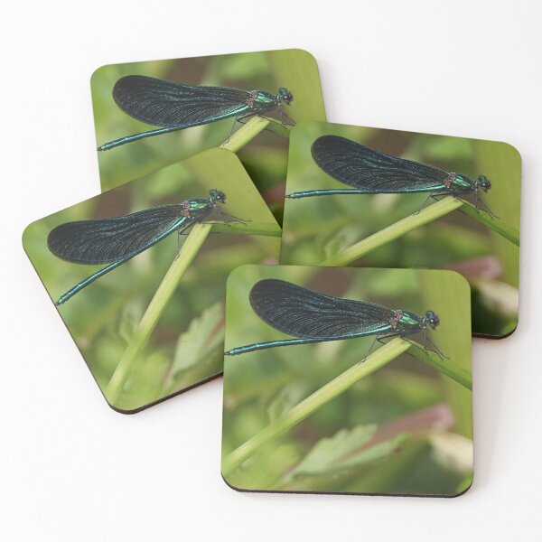 Item preview, Beautiful Demoiselle designed and sold by aquabella.