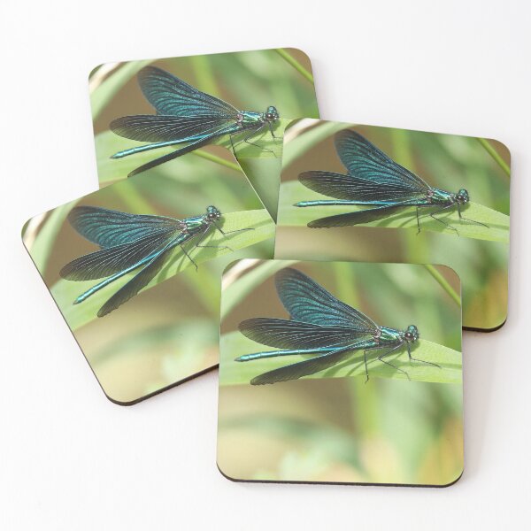 Item preview, Beautiful Demoiselle  designed and sold by aquabella.