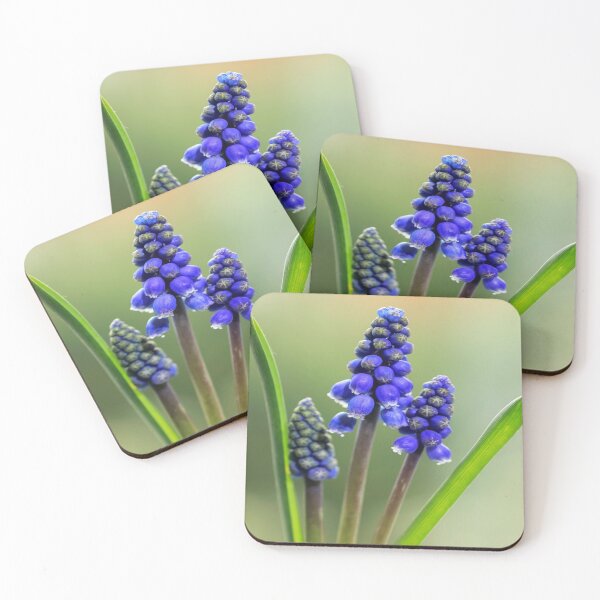 Item preview, Grape Hyacinth. designed and sold by John Ray.