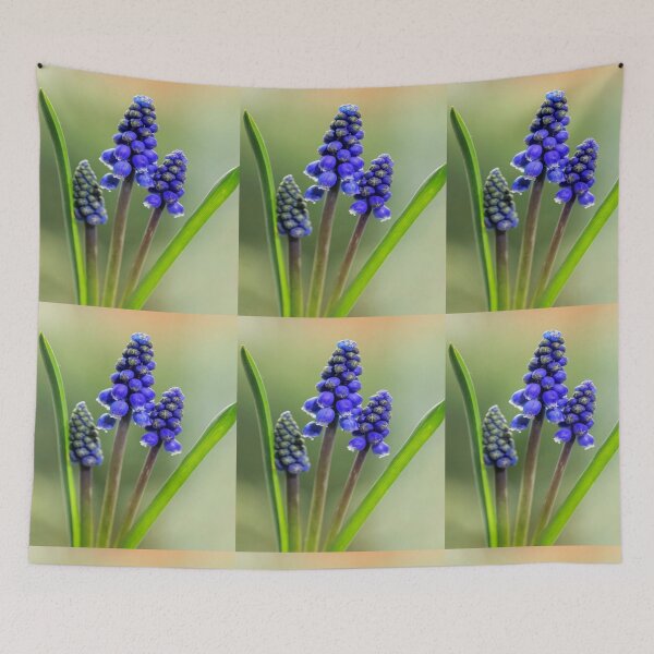 Item preview, Grape Hyacinth. designed and sold by John Ray.