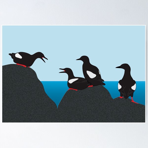 Item preview, Black Guillemot party designed and sold by bigeffinbee.