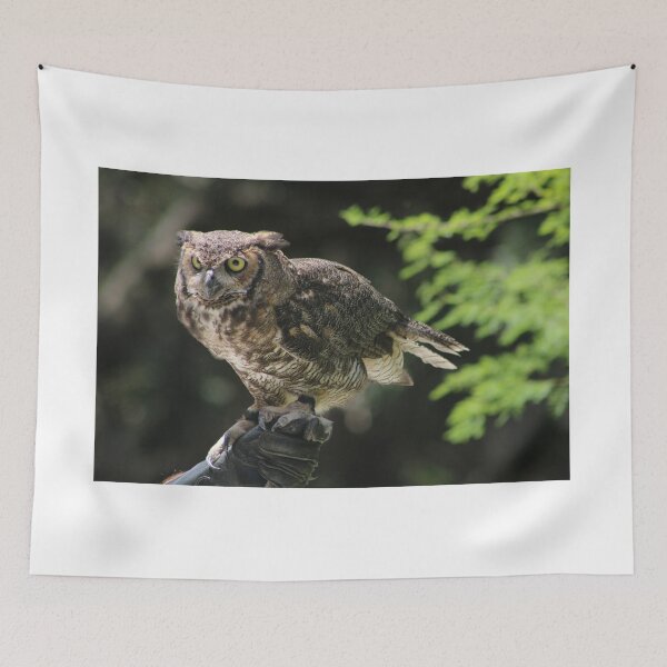 Item preview, Owl  designed and sold by Outdoor-wonders.