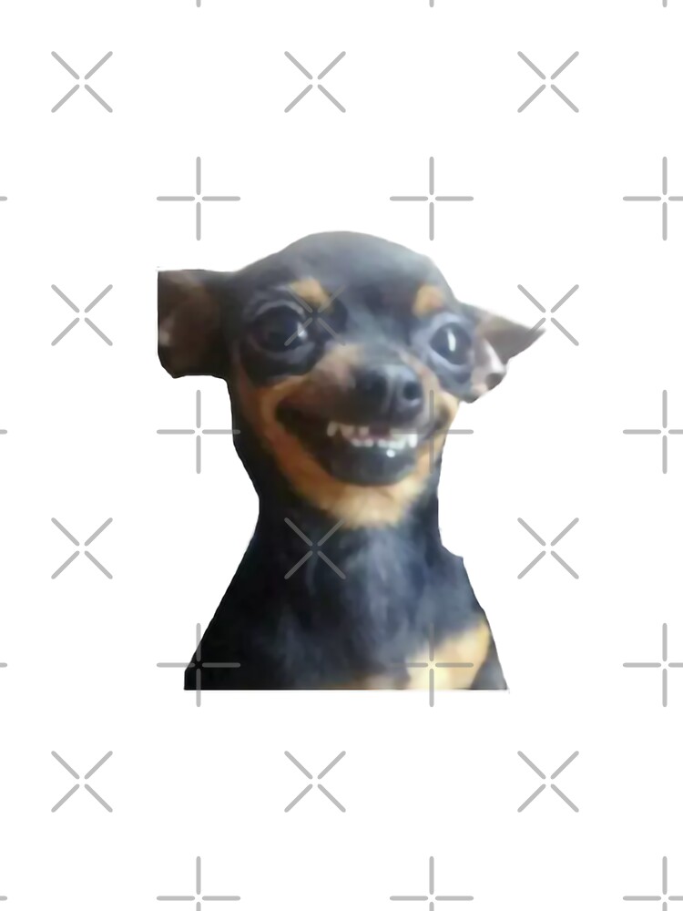 Smiling Dog Meme