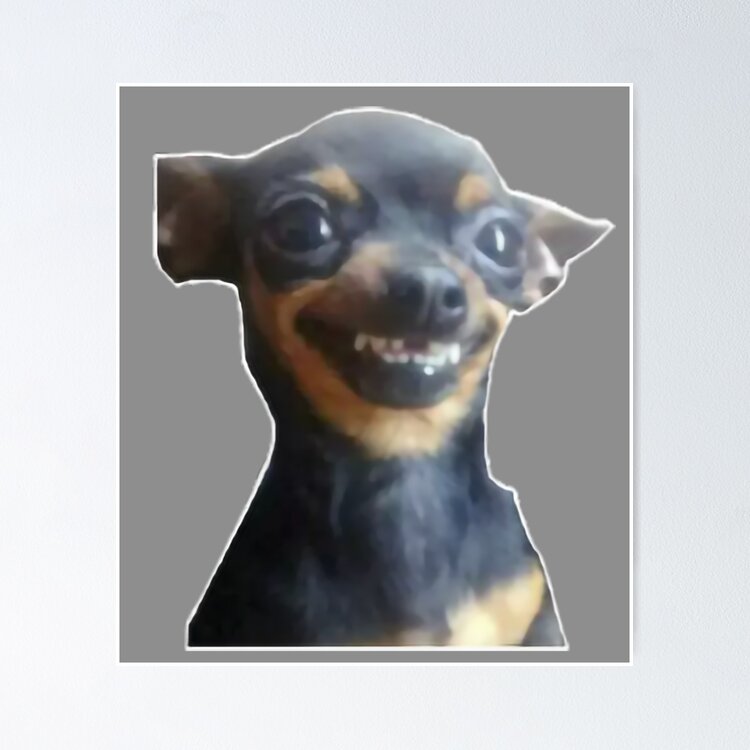 Smiling Dog Meme Sticker