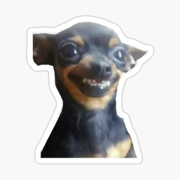 Perro Sonriente Meme Pegatina