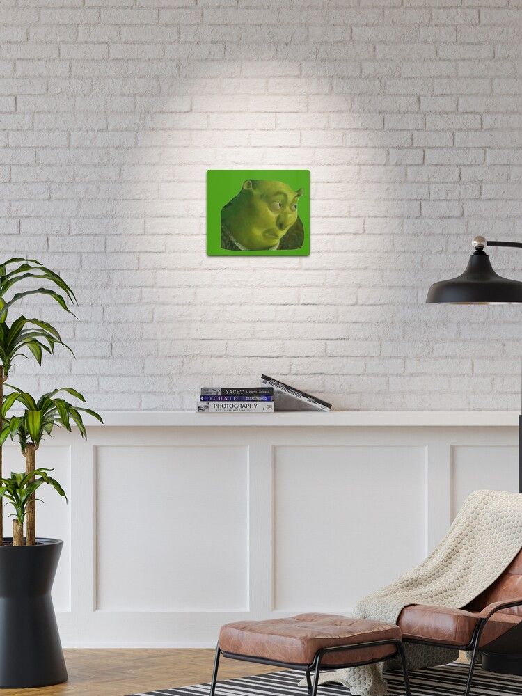 Shrek Meme Photographic Prints for Sale