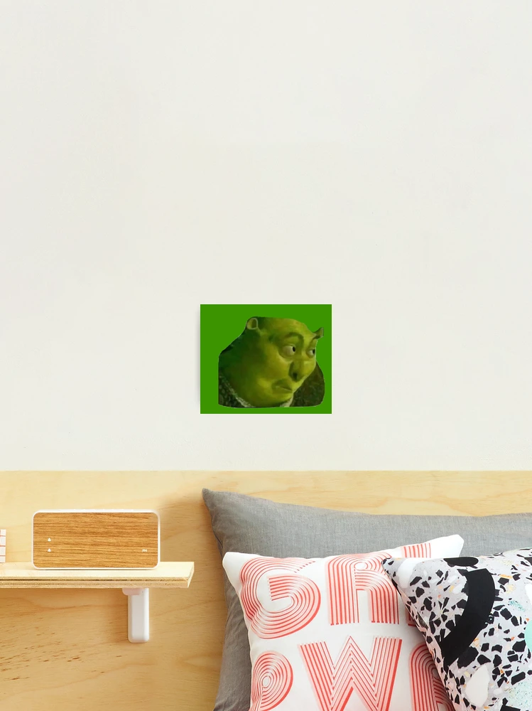 Shrek Meme Photographic Prints for Sale