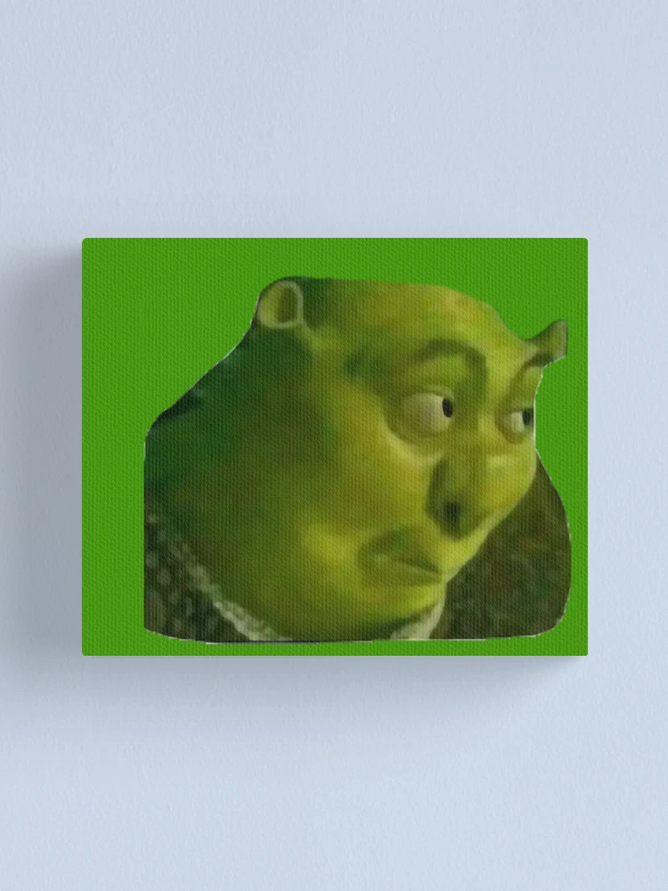 Shrek T-Pose  Photographic Print for Sale by KikimoraFasbn