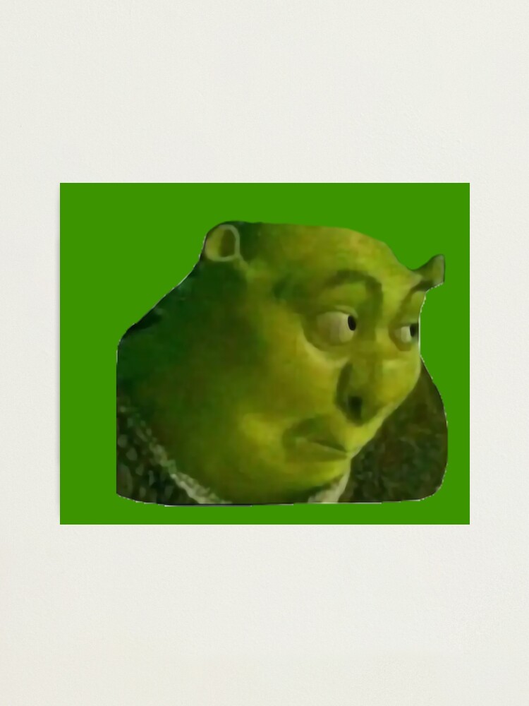 Shrek Meme Photographic Prints for Sale