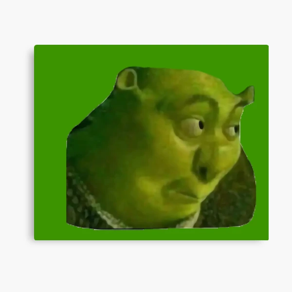 Shrek T-Pose  Photographic Print for Sale by KikimoraFasbn