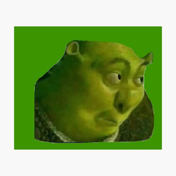 Shrek meme Photographic Print for Sale by Pulte