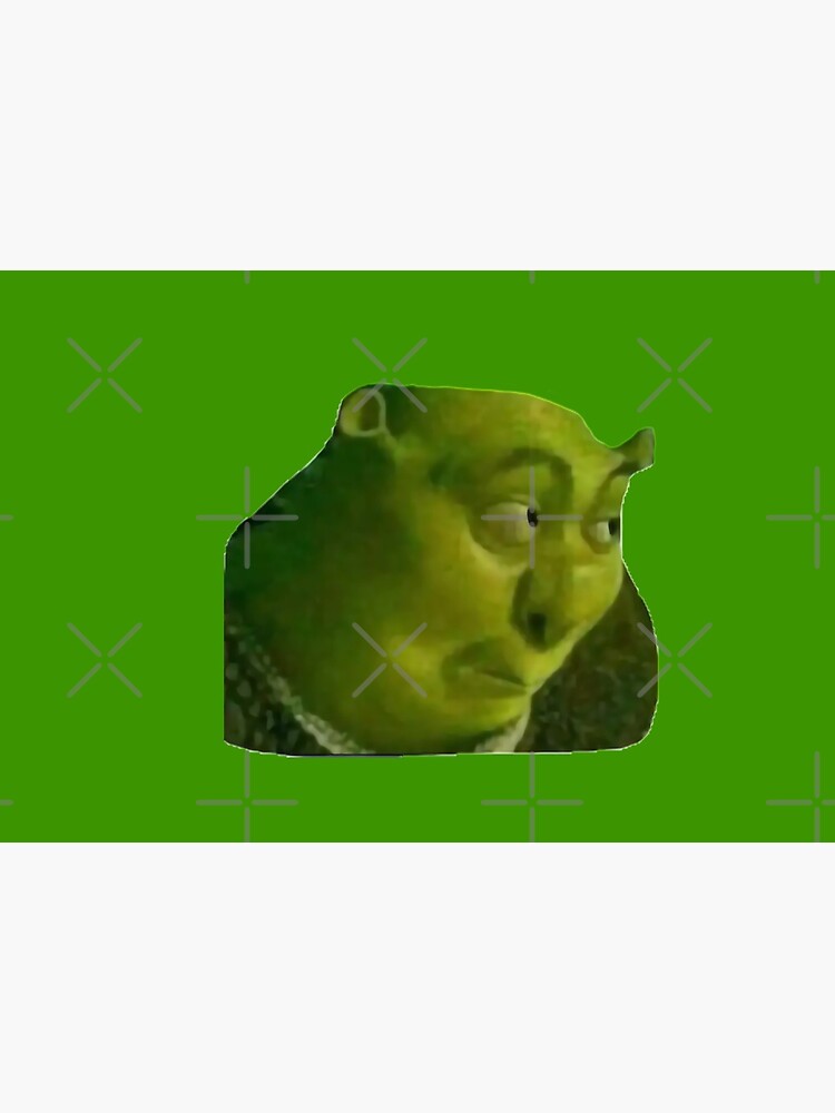 shrek the third Drawing meme - shrek and fiona get married - disney fiona  shrek funny memes 