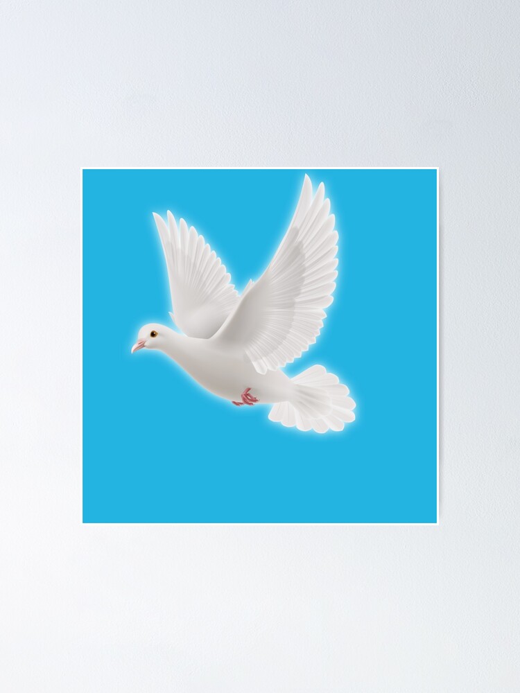 "Amazing Flying White Pigeon " Poster for Sale by aruvanita Redbubble