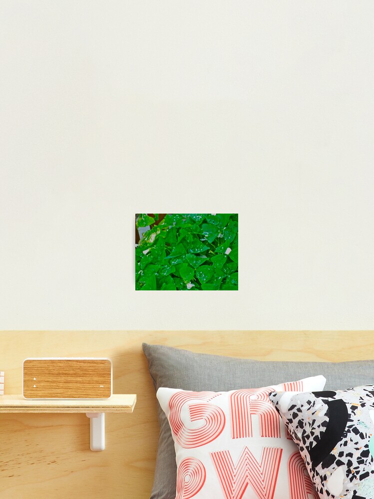 Thumbnail 1 of 3, Photographic Print, Happy St. Patrick's Day designed and sold by TrickyBeamy28.
