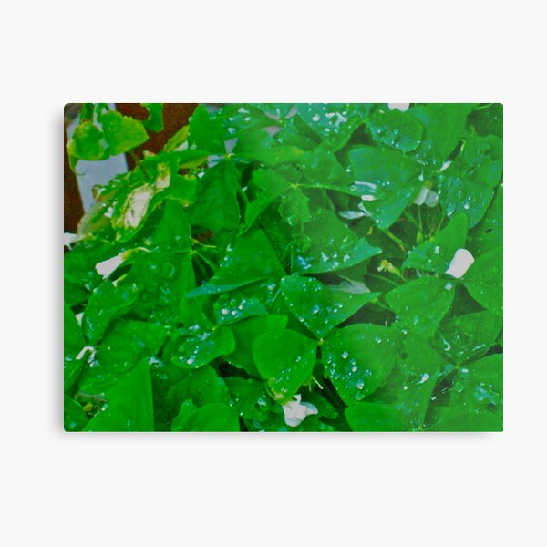 Happy St. Patrick's Day Metal Print
