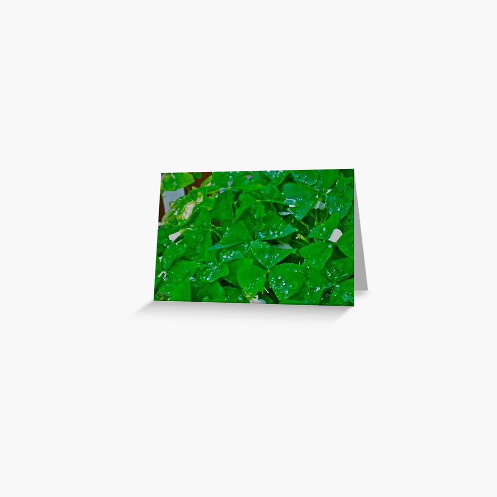 Item preview, Greeting Card designed and sold by TrickyBeamy28.