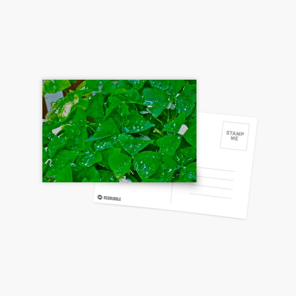Item preview, Postcard designed and sold by TrickyBeamy28.