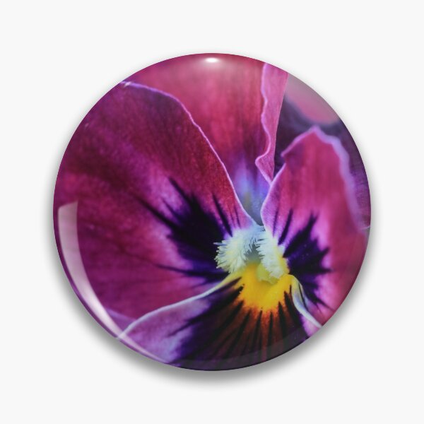 Item preview, Winter Colour. designed and sold by John Ray.