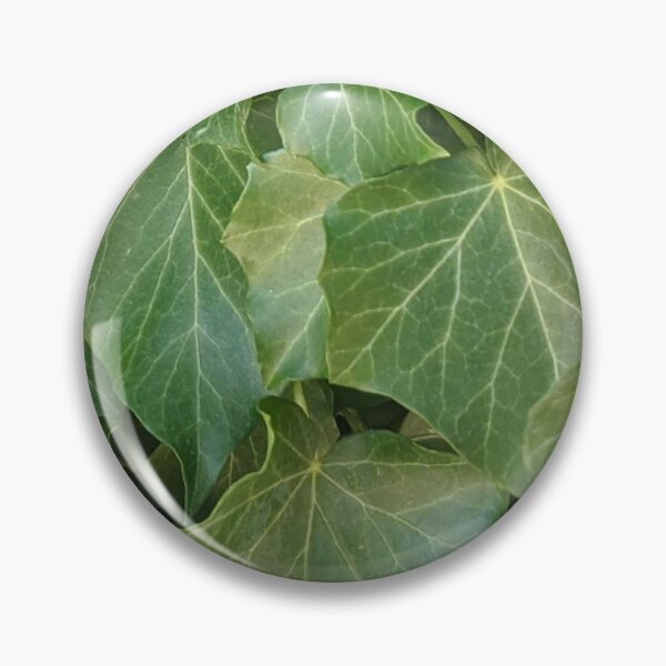 Item preview, Climbing ivy designed and sold by naturalpatterns.