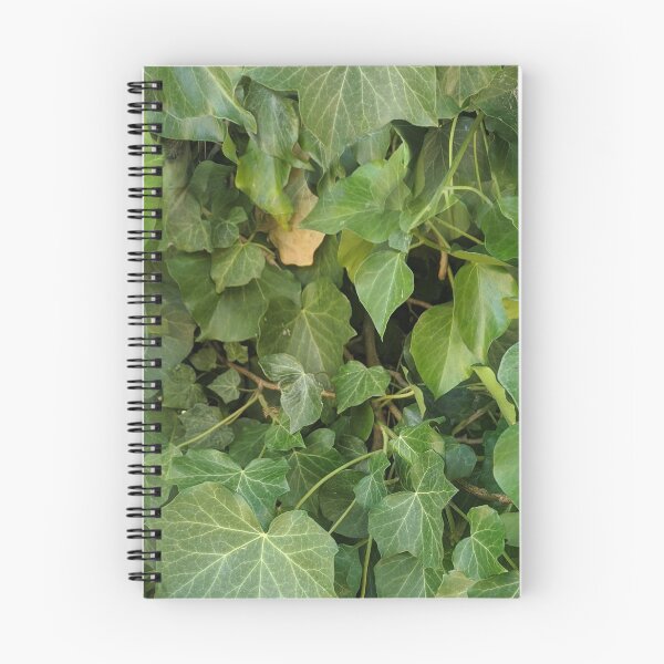 Item preview, Climbing ivy designed and sold by naturalpatterns.