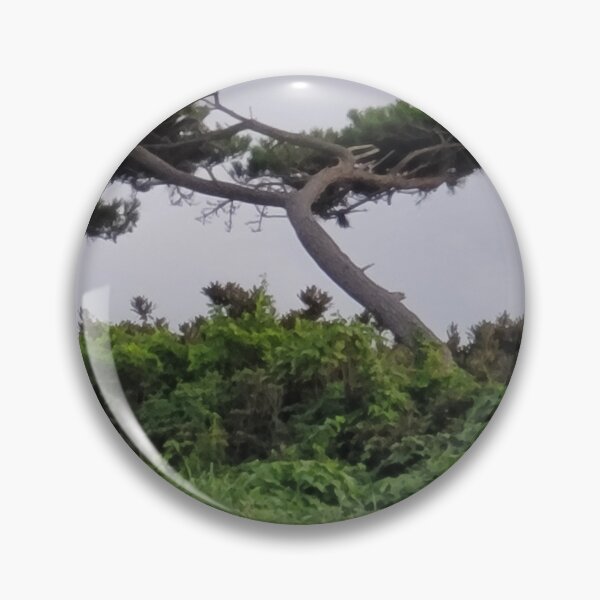 Item preview, Pine tree in jeju island of south korea. designed and sold by human8891.