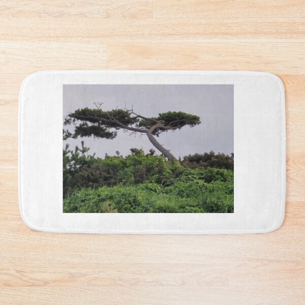 Item preview, Pine tree in jeju island of south korea. designed and sold by human8891.