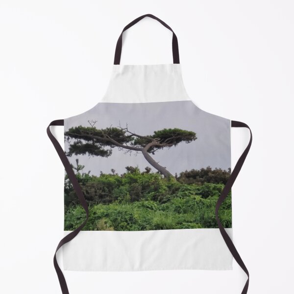 Item preview, Pine tree in jeju island of south korea. designed and sold by human8891.