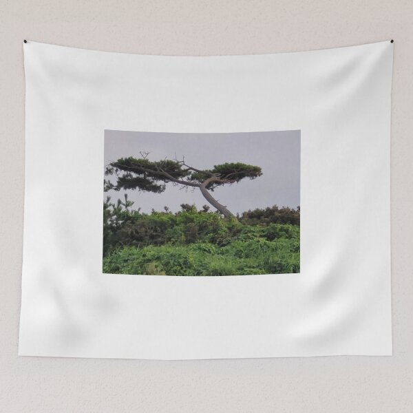 Item preview, Pine tree in jeju island of south korea. designed and sold by human8891.