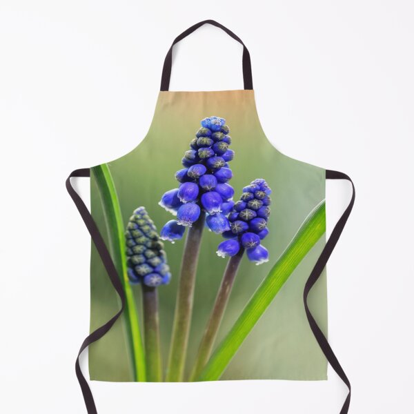 Item preview, Grape Hyacinth. designed and sold by John Ray.