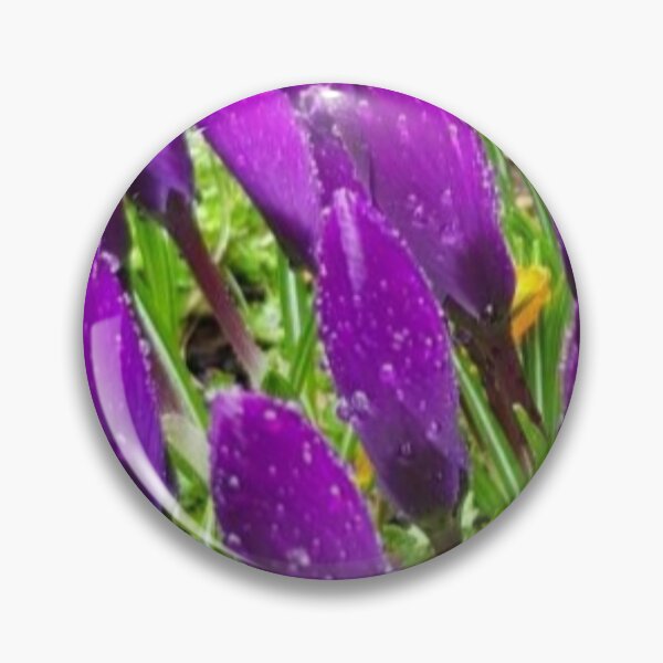 Item preview, Crocuses designed and sold by doodle3Dandy.