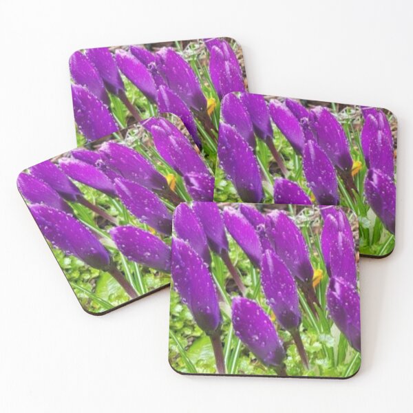 Item preview, Crocuses designed and sold by doodle3Dandy.