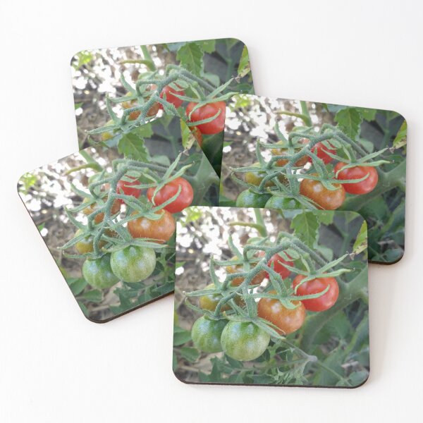 Item preview, Cocktail Tomatoes in Garden designed and sold by Beachy.