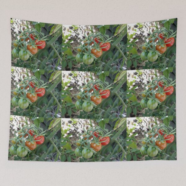 Item preview, Cocktail Tomatoes in Garden designed and sold by Beachy.