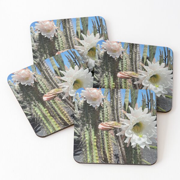 Artikelvorschau, Eine Kaktusblume entworfen und verkauft von nikaxbla.