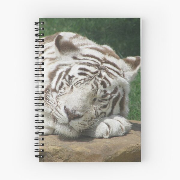 Item preview, Sleep Tight Mighty Kahn ~ designed and sold by Ginny York.