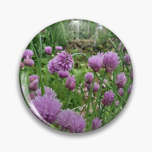 Item preview, Spring Onion designed and sold by nikaxbla.