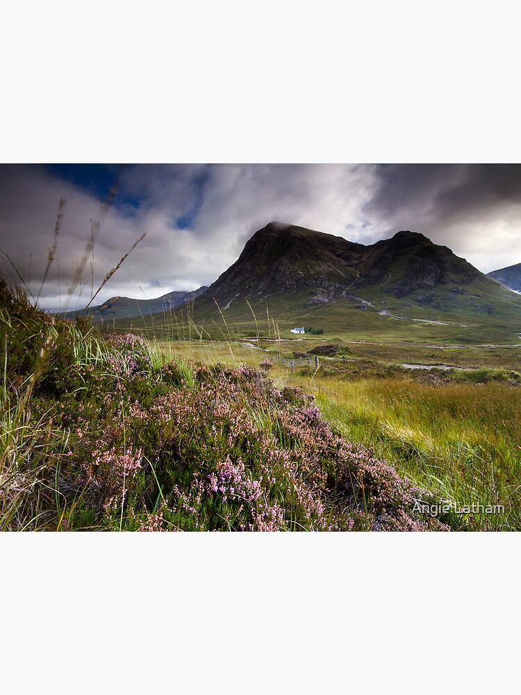 Scotland- Heather,wind and mountains by AngelaBarnett