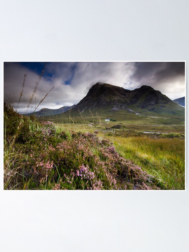 Alternate view of Scotland- Heather,wind and mountains Poster
