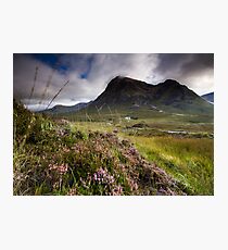 Scotland- Heather,wind and mountains Photographic Print