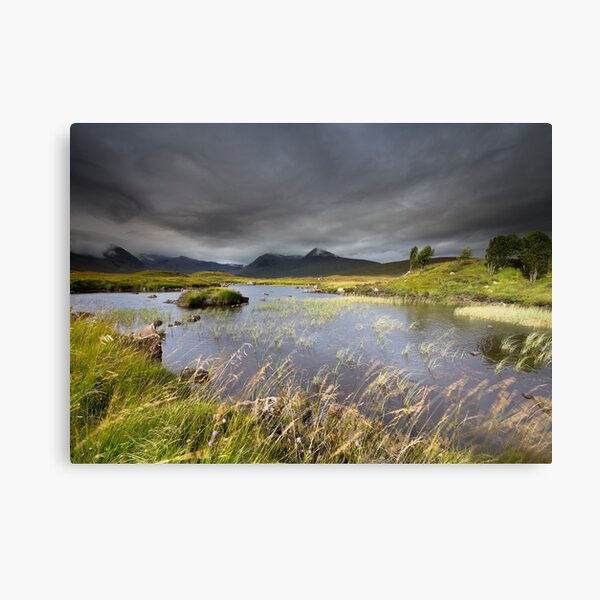 Scotland- Light & Wind Canvas Print