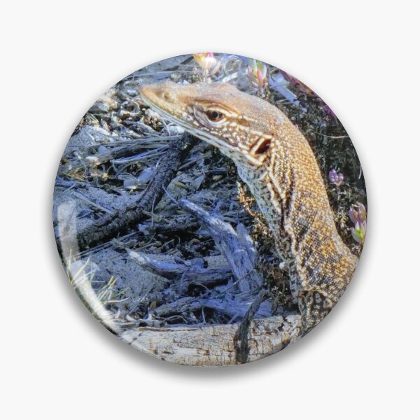 Perentie Australian Lizard Pin