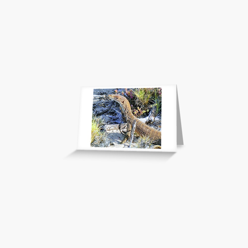 Perentie Australian Lizard Greeting Card