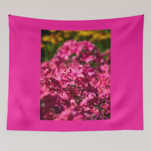 Item preview, Pink dreams all the way 17 designed and sold by Jouko Lehto Photography.