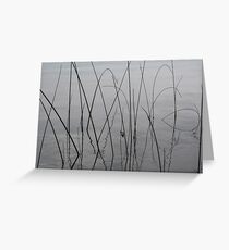 Reeds Greeting Card