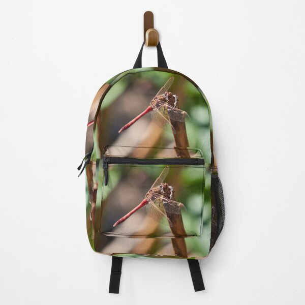 Item preview, Vagrant darter takeing a rest designed and sold by Jouko Lehto Photography.