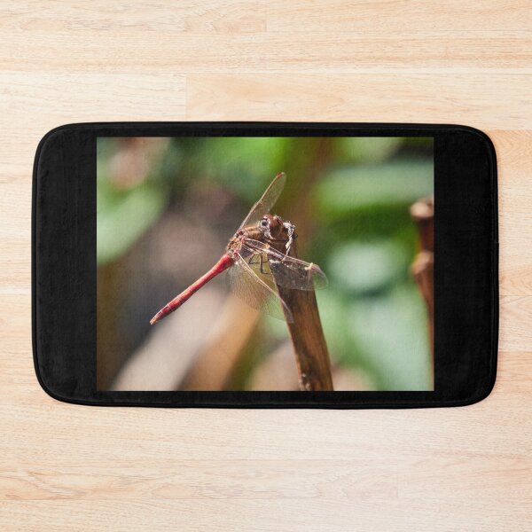 Item preview, Vagrant darter takeing a rest designed and sold by Jouko Lehto Photography.