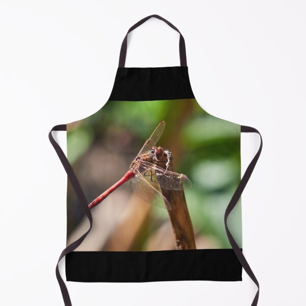 Item preview, Vagrant darter takeing a rest designed and sold by Jouko Lehto Photography.