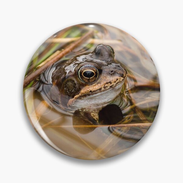 Item preview, Frog in a Pond designed and sold by Jane Stanley Photography.
